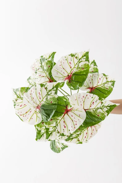 Güleç Yapay Çiçek Yapay Salon Köşe Çiçeği Devetabanı Yeşil Pembe 65 Cm Saksısız - 3