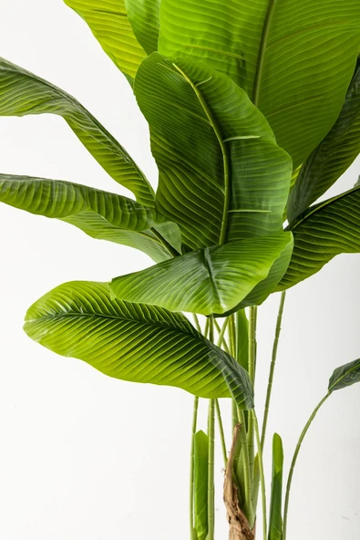 Güleç Yapay Çiçek Yapay Muz Ağacı 160 Cm Kahverengi Gold Metal Saksı - Resim 2