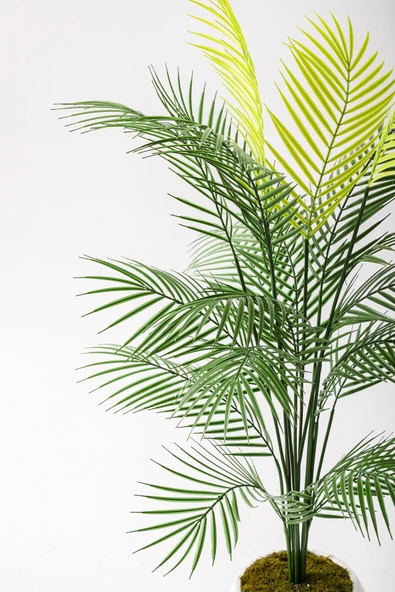 Güleç Yapay Çiçek Yapay Areka Palmiyesi 130 Cm Küre Plastik Saksı - Resim 4