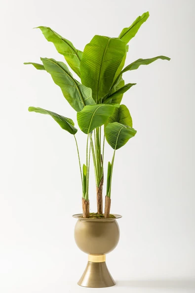 Yapay Muz Ağacı 200 Cm 17 Yaprak Balon Saksı - Resim 4