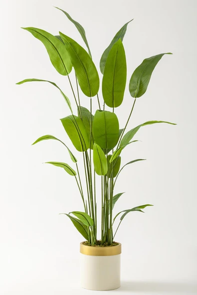 Güleç Yapay Çiçek Yapay Starliçe Ağacı 200 Cm Krem Gold Metal Saksı