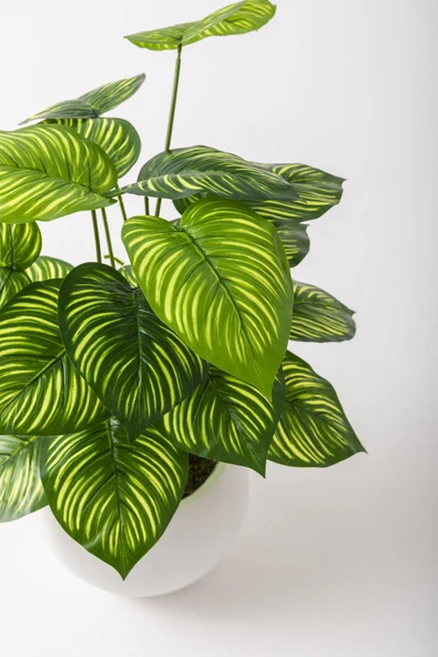 Güleç Yapay Çiçek Yapay Salon Köşe Çiçeği Devetabanı Yeşil Sarı 65 Cm Küre Plastik - Resim 5