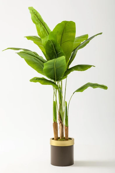 Güleç Yapay Çiçek Yapay Muz Ağacı 160 Cm Kahverengi Gold Metal Saksı ürün görseli