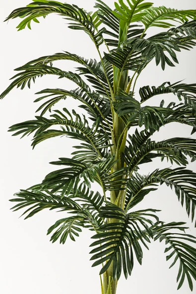 Güleç Yapay Çiçek Yapay Ağaç Areka 180 Cm 32 Yaprak Gold Balon Saksı - Resim 3