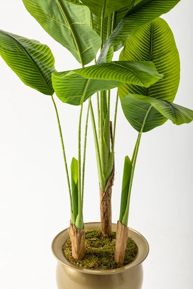 Yapay Muz Ağacı 200 Cm 17 Yaprak Balon Saksı - Resim 6