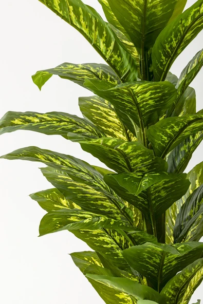 Güleç Yapay Çiçek Yapay Difenbahya Ağacı 160 Cm Gold Saksı - Resim 2