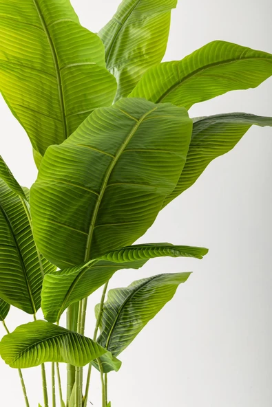 Yapay Muz Ağacı 200 Cm 17 Yaprak Balon Saksı - Resim 2