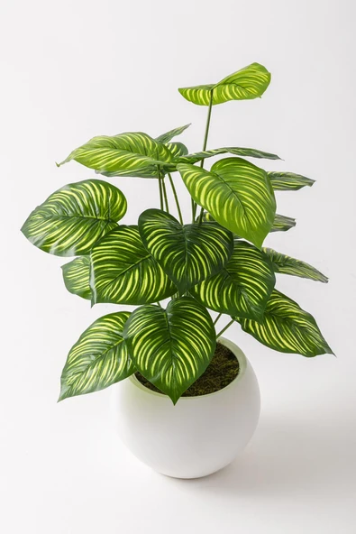 Güleç Yapay Çiçek Yapay Salon Köşe Çiçeği Devetabanı Yeşil Sarı 65 Cm Küre Plastik - Resim 3