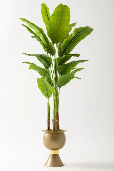 Güleç Yapay Çiçek Yapay Muz Ağacı 220 Cm 20 Yaprak Gold Balon Saksı ürün görseli 1