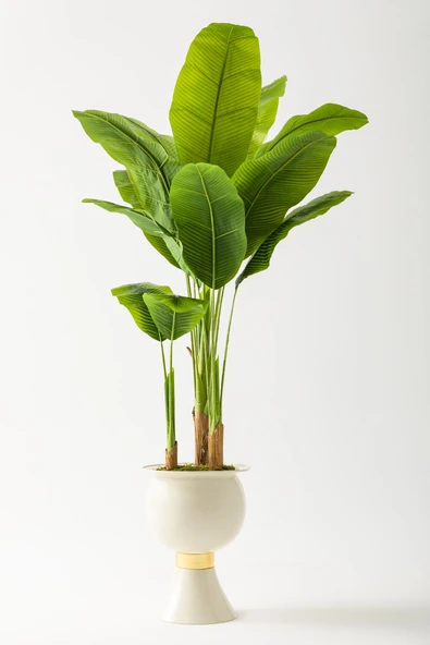 Yapay Muz Ağacı 200 Cm 17 Yaprak Balon Saksı - Resim 7