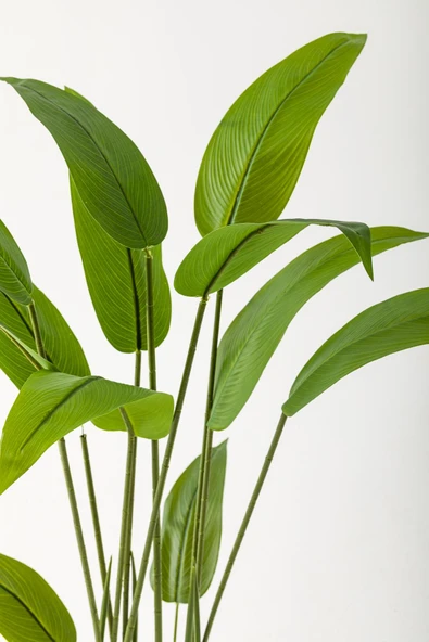 Güleç Yapay Çiçek Yapay Starliçe Ağacı 120 Cm Siyah Gümüş Saksı - 3