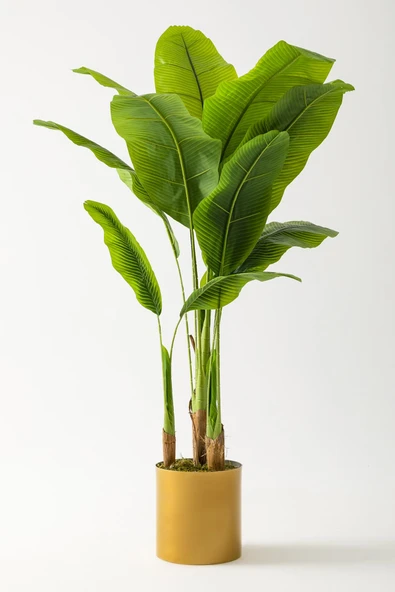 Güleç Yapay Çiçek Yapay Muz Ağacı 160 Cm Gold Metal Saksı ürün görseli 1