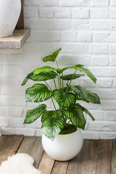 Güleç Yapay Çiçek Yapay Salon Köşe Çiçeği Devetabanı Yeşil Sarı 65 Cm Küre Plastik - Resim 2