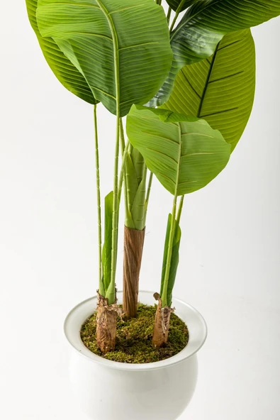 Güleç Yapay Çiçek Yapay Muz Ağacı 220 Cm 20 Yaprak Beyaz Balon Saksı - Resim 3