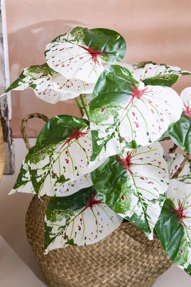 Güleç Yapay Çiçek Yapay Salon Köşe Çiçeği Devetabanı Yeşil Pembe 65 Cm Saksısız - 2