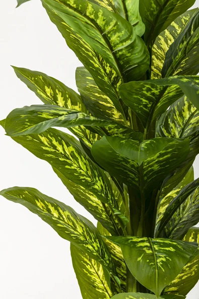 Güleç Yapay Çiçek Yapay Difenbahya Ağacı 160 Cm Kahverengi Gold - Resim 2