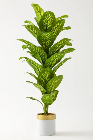 Güleç Yapay Çiçek Yapay Difenbahya Ağacı 160 Cm Beyaz Gold Saksı ürün görseli 1