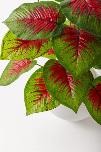 Güleç Yapay Çiçek Yapay Salon Köşe Çiçeği Devetabanı Kırmızı 65 Cm Küre Saksı - Resim 5