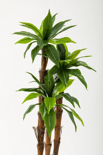 Güleç Yapay Çiçek Yapay Kılıç Ağacı 150 Cm 54 Dal Yeşil - Resim 2