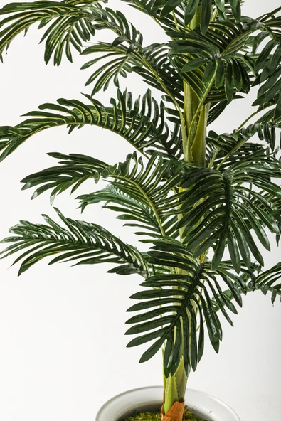 Güleç Yapay Çiçek Yapay Ağaç Areka 180 Cm 32 Yaprak Beyaz Balon Saksı - 2