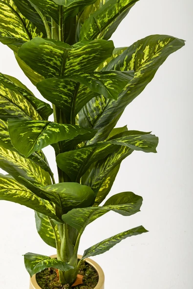 Güleç Yapay Çiçek Yapay Difenbahya Ağacı 160 Cm Krem Gold Saksı - Resim 3