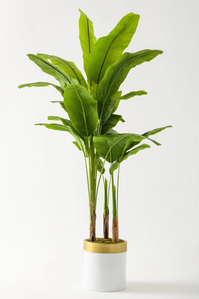 Güleç Yapay Çiçek Yapay Muz Ağacı 180 Cm Beyaz Gold Metal Saksı