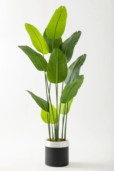 Güleç Yapay Çiçek Yapay Starliçe Ağacı 180 Cm Geniş Yapraklı Siyah Gümüş Saksı ürün görseli 1