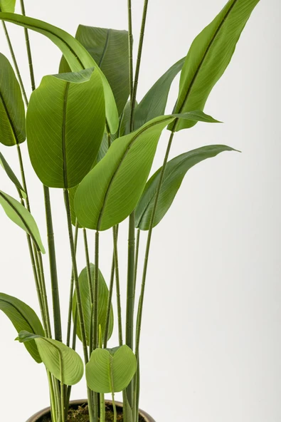 Güleç Yapay Çiçek Yapay Starliçe Ağacı 230 Cm Kahverengi Eskitme Damla Saksı - 2