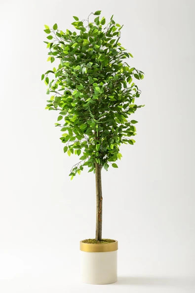 Güleç Yapay Çiçek Yapay Benjamin Ağacı 180 Cm Krem Gold Metal Saksı ürün görseli 1