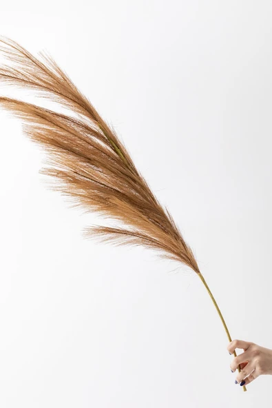 Güleç Yapay Çiçek Yapay Pampas Çiçeği 100 Cm Tek Dal Kahverengi - 2