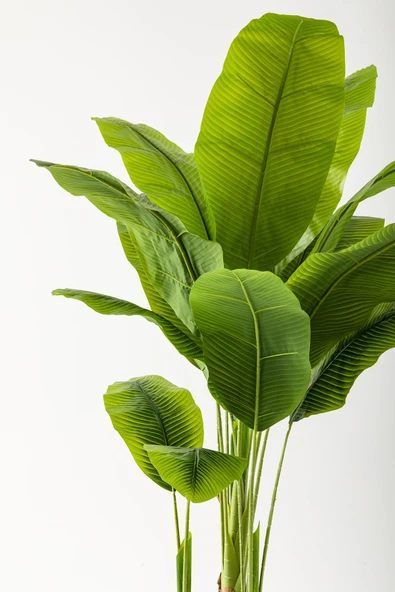 Yapay Muz Ağacı 200 Cm 17 Yaprak Balon Saksı - Resim 8