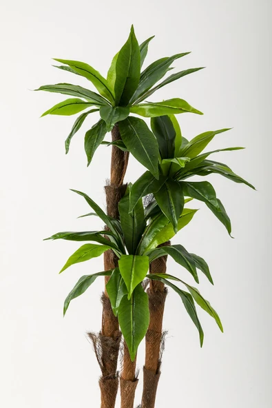 Güleç Yapay Çiçek Yapay Kılıç Ağacı 150 Cm 54 Dal Yeşil - Resim 3