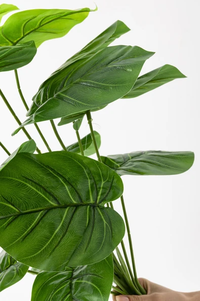 Güleç Yapay Çiçek Yapay Salon Köşe Çiçeği Devetabanı Yeşil 65 Cm Saksısız - Resim 5