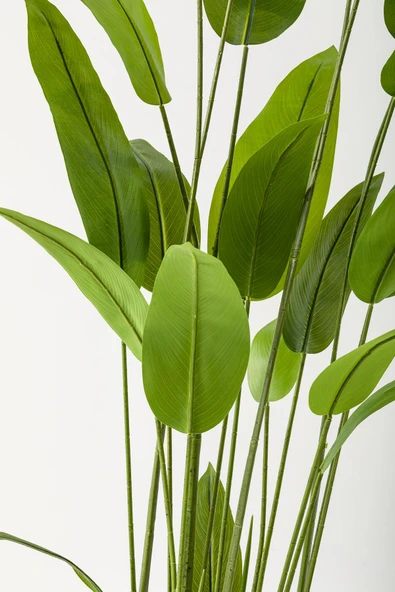 Güleç Yapay Çiçek Yapay Starliçe Ağacı 230 Cm Beyaz Gümüş Damla Saksı - Resim 2