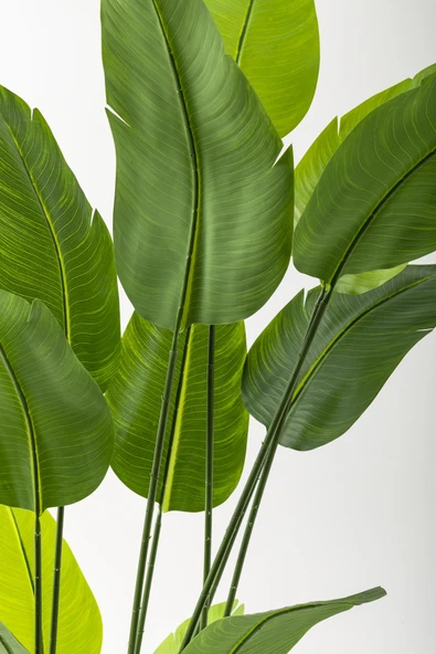 Güleç Yapay Çiçek Yapay Starliçe Ağacı 180 Cm Geniş Yapraklı Gümüş Saksı - Resim 3