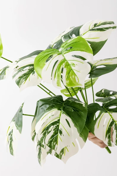 Güleç Yapay Çiçek Yapay Salon Köşe Çiçeği Devetabanı Beyaz 65 Cm Saksısız - Resim 4