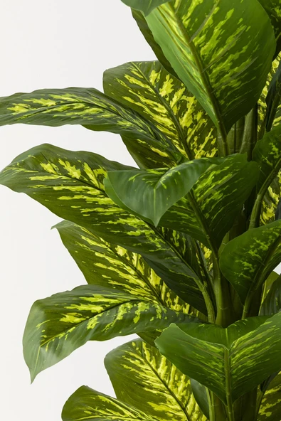 Güleç Yapay Çiçek Yapay Difenbahya Ağacı 180 Cm Siyah Balon Saksı - Resim 2