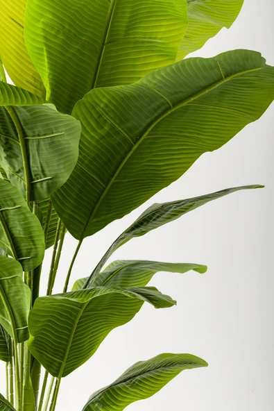 Güleç Yapay Çiçek Yapay Muz Ağacı 180 Cm Kahverengi Gold Metal Saksı - 2