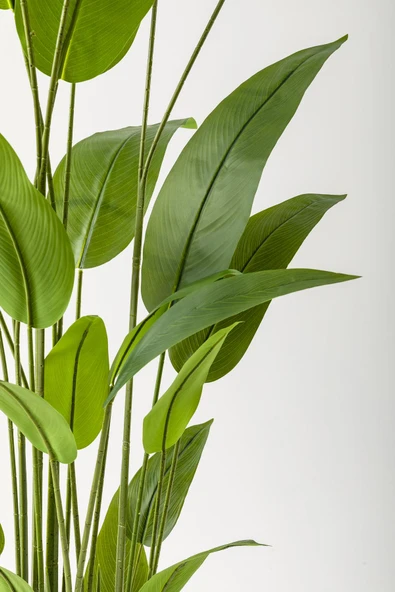 Güleç Yapay Çiçek Yapay Starliçe Ağacı 220 Cm 24 Yaprak Krem Balon Saksı - Resim 2