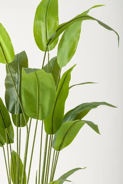 Güleç Yapay Çiçek Yapay Starliçe Ağacı 230 Cm Krem Gold Damla Saksı - Resim 2