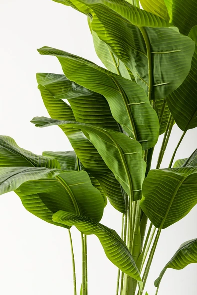 Güleç Yapay Çiçek Yapay Muz Ağacı 180 Cm Kahverengi Gold Metal Saksı - 3