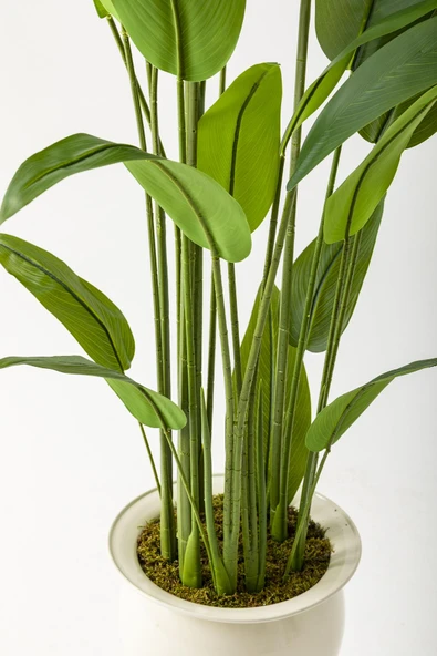 Güleç Yapay Çiçek Yapay Starliçe Ağacı 220 Cm 24 Yaprak Krem Balon Saksı - Resim 4