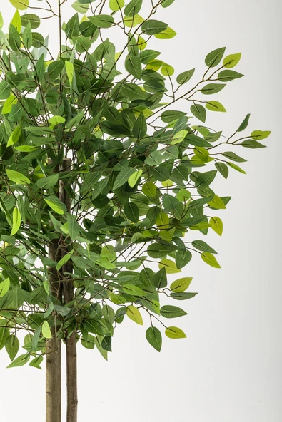 Güleç Yapay Çiçek Yapay Benjamin Ağacı 160 Cm Kahverengi Gold Metal Saksı - 3