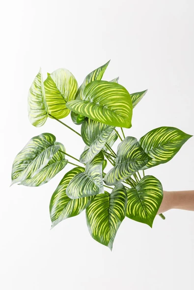 Güleç Yapay Çiçek Yapay Salon Köşe Çiçeği Devetabanı Yeşil Sarı 65 Cm Saksısız - Resim 6