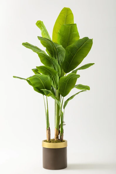 Güleç Yapay Çiçek Yapay Muz Ağacı 180 Cm Kahverengi Gold Metal Saksı