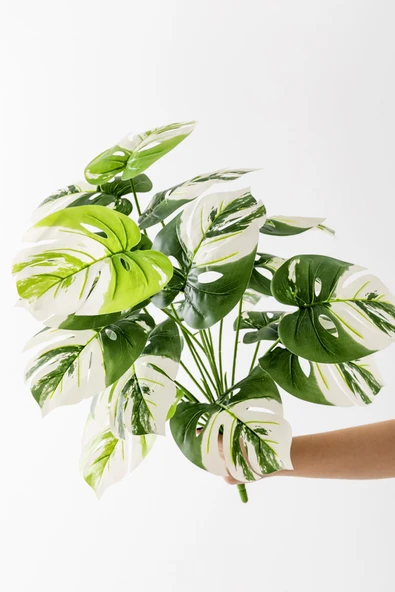 Güleç Yapay Çiçek Yapay Salon Köşe Çiçeği Devetabanı Beyaz 65 Cm Saksısız - Resim 5