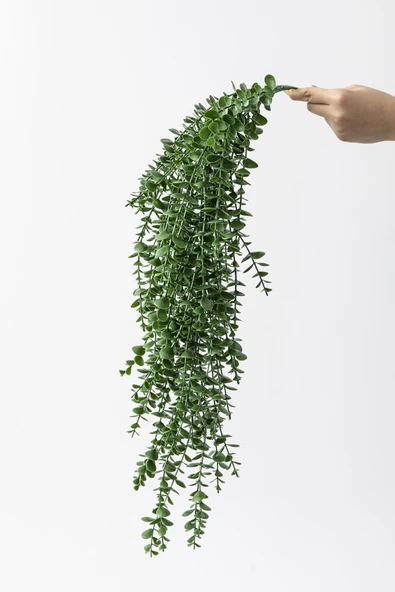 Güleç Yapay Çiçek Yapay Okaliptus Sarmaşık Uv Korumalı Koyu Yeşil 90 Cm 5 Dal