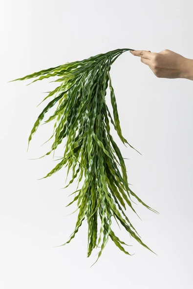 Güleç Yapay Çiçek Yapay Sarmaşık Uv Korumalı Sazlık Yeşil 90 Cm 5 Dal