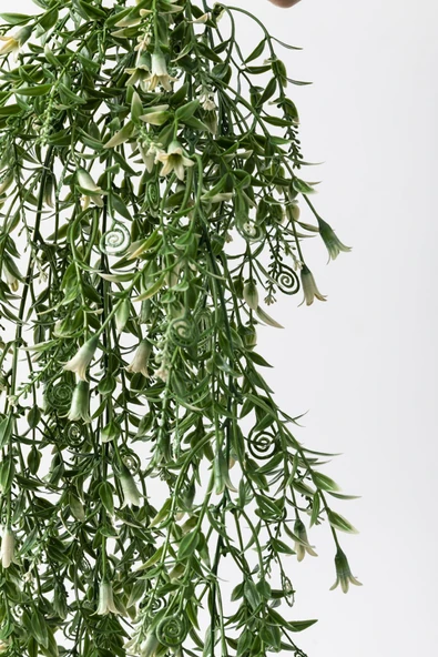 Güleç Yapay Çiçek Yapay Sarmaşık Uv Korumalı Küpe Yeşil Beyaz 80 Cm 5 Dal - 4