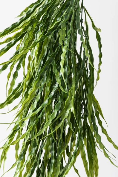 Güleç Yapay Çiçek Yapay Sarmaşık Uv Korumalı Sazlık Yeşil 90 Cm 5 Dal - 5